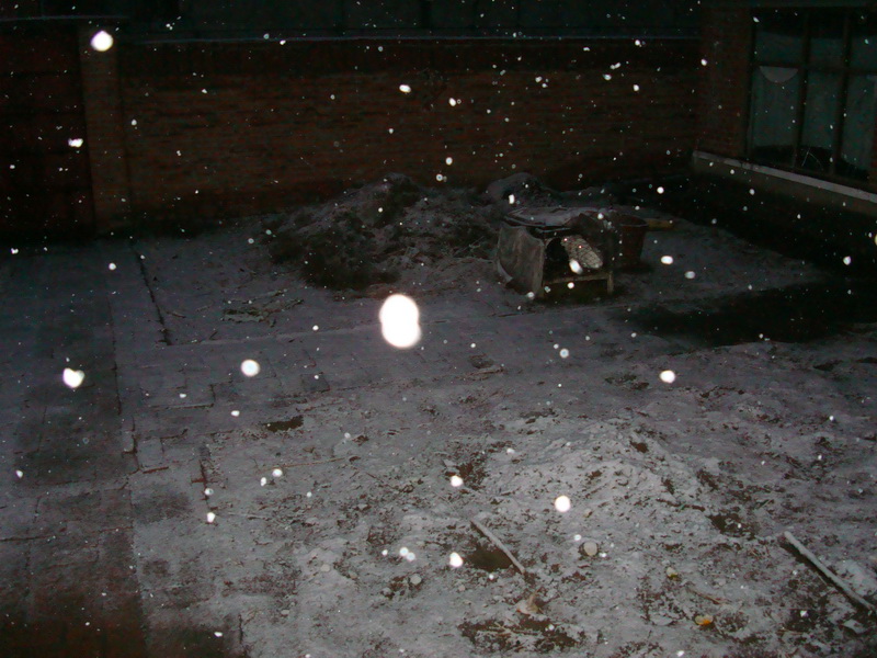 夜中雪