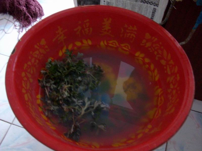 艾草水