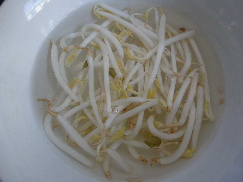 白而胖的豆芽