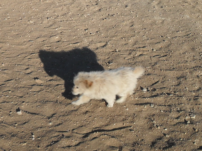  width=